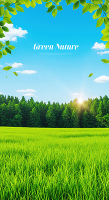 PSD 나무 편집이미지 자연 하늘 풍경 잔디 초원 초록색 여름 햇빛 평화 숲 이미지편집 식물 계절 컬러 컨셉 태양 생태계 파일형식