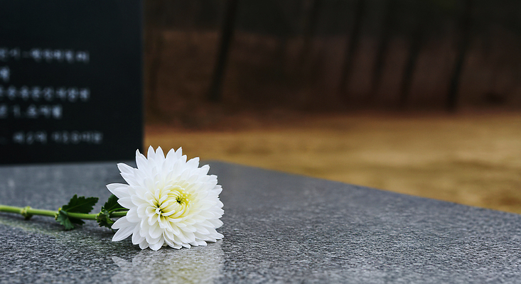 JPG 편집이미지 꽃 자연 국화 사랑 갈색 평화 고요 슬픔 무덤 모퉁이 추억 비석 향기 추모 존경 편집실사 AI포토 AI콘텐츠 식물 감정 컬러 컨셉 CG 생태계 냄새 파일형식