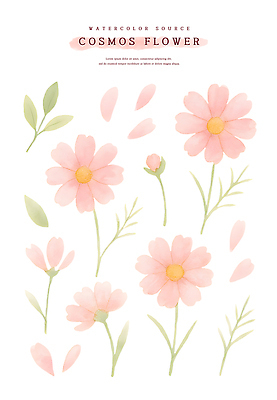 PSD 식물 디자인 꽃잎 꽃 예술 컬러 잎 일러스트 자연 생명 수채화 장식 정원 코스모스 부드러움 화사함 창의력 국내일러스트 컨셉 감각 생태계 파일형식