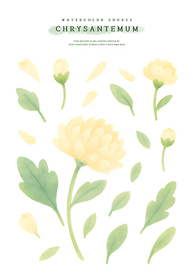 PSD 식물 디자인 꽃 컬러 잎 일러스트 자연 수채화 국화 미술 노란색 원형 배열 그림 감성 특징 국내일러스트 도형 컨셉 문화예술 생태계 파일형식