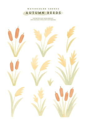모양 PSD 식물 디자인 예술 일러스트 자연 수채화 갈대 풍경 그래픽 가을 풀 장면 뷰티풀 색감 자연물 창작 국내일러스트 계절 생태계 파일형식