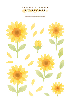 PSD 식물 디자인 계절 꽃 예술 꽃무늬 일러스트 자연 해바라기 수채화 취미 장식 연두색 여름 노란색 그림 원예 뷰티풀 색감 국내일러스트 컬러 무늬 초록색 생태계 파일형식