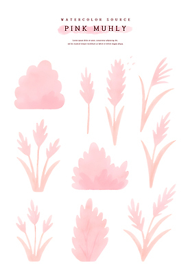 PSD 식물 디자인 꽃 예술 컬러 꽃무늬 일러스트 자연 수채화 잔디 장식 정원 그림 장면 부드러움 조화 뷰티풀 창작 파스텔톤 핑크뮬리 국내일러스트 무늬 감각 생태계 파일형식