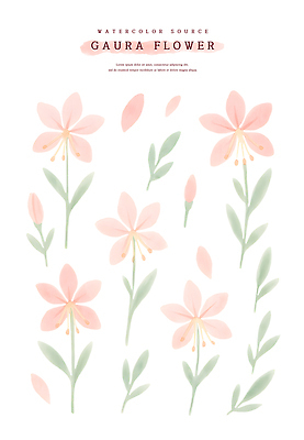 PSD 식물 디자인 꽃잎 꽃 예술 컬러 일러스트 자연 수채화 미술 장식 새싹 작가 감성 조화 뷰티풀 창작 가우라 국내일러스트 직업 컨셉 문화예술 생태계 파일형식