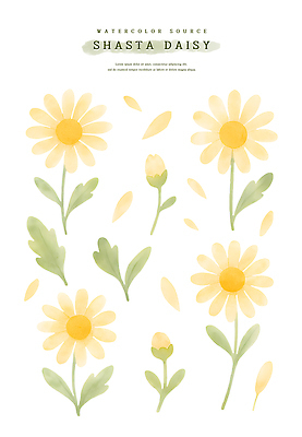 PSD 식물 디자인 꽃잎 꽃 예술 일러스트 자연 추상 문구용품 수채화 그래픽 연두색 노란색 화려 화사함 감성 샤스타데이지 디테일 국내일러스트 컬러 컨셉 무늬 초록색 오브젝트 생태계 파일형식