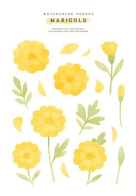 PSD 식물 디자인 꽃 예술 잎 일러스트 자연 수채화 장식 초록색 노란색 배열 그림 조화 뷰티풀 색채 창의성 국내일러스트 컬러 생태계 파일형식