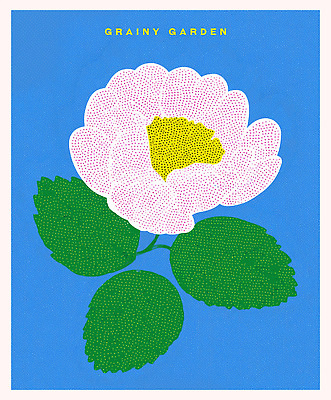 PSD 식물 디자인 꽃 예술 분홍색 컬러 백그라운드 일러스트 자연 생명 그래픽 초록색 정원 그림 부드러움 조화 뷰티풀 국내일러스트 감각 생태계 파일형식