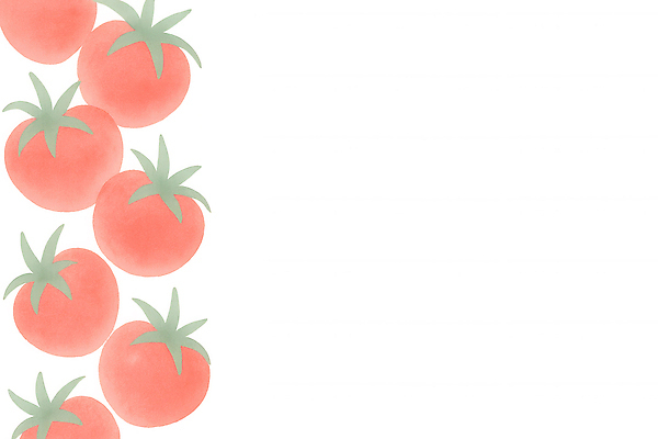 JPG 식물 웰빙 백그라운드 토마토 채소 과일 일러스트 자연 건강 요리 장식 여름 농작물 농장 식사 신선 원형 건강식 색감 국내일러스트 AI일러스트 AI콘텐츠 도형 계절 음식 농업 생태계 파일형식