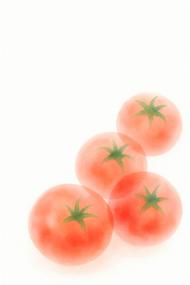 JPG 컬러 백그라운드 토마토 과일 일러스트 식재료 자연 건강 요리 빨간색 여름 농작물 식사 신선 달콤 배열 유기농 비타민 식생활 국내일러스트 AI일러스트 AI콘텐츠 영양군 웰빙 계절 농업 채소 맛 경상북도 생태계 영양소 파일형식