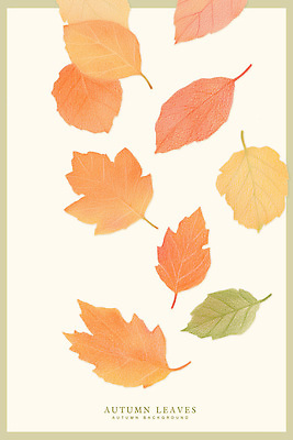 PSD 식물 계절 컬러 백그라운드 단풍 잎 일러스트 자연 생명 풍경 일상 초록색 노란색 가을 떨어짐 장면 조화 뷰티풀 국내일러스트 컨셉 라이프 생태계 파일형식