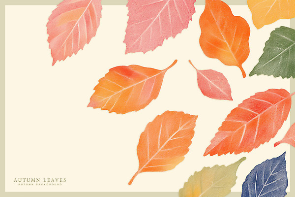 PSD 디자인 계절 예술 백그라운드 단풍 잎 일러스트 자연 생명 따뜻함 풍경 평화 가을 화려 변화 질감 부드러움 조화 색감 풍요 국내일러스트 식물 컨셉 감각 생태계 파일형식