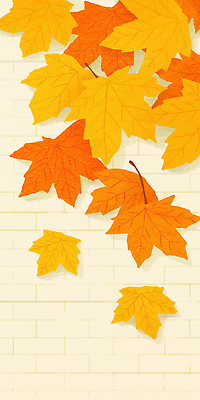 JPG 나무 그릇 계절 벽 단풍 낙엽 잎 일러스트 자연 하늘 생명 따뜻함 풍경 노란색 주황색 벚꽃 가을 변화 뷰티풀 색감 국내일러스트 AI일러스트 AI콘텐츠 식물 식기 꽃 컬러 컨셉 생태계 파일형식