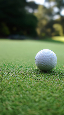 JPG 편집이미지 스포츠 골프 골프장 자연 조명 골프공 잔디 야외 여름 평화 환경 게임 준비 퍼팅 편집실사 AI포토 AI콘텐츠 식물 계절 포즈 컨셉 공 스포츠시설 놀이 골프용품 구기 CG 생태계 파일형식