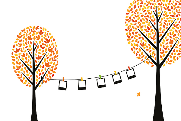 나무 전통 디자인 예술 컬러 백그라운드 잎 일러스트 자연 따뜻함 풍경 장식 가을 그림 뷰티풀 국내일러스트 AI파일 식물 계절 생태계 파일형식 벡터