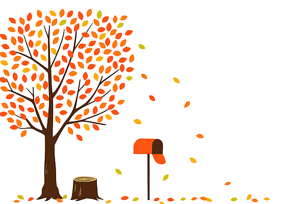 나무 계절 공원 단풍 잎 일러스트 자연 풍경 일상 평화 귀여움 고요 공간 우체통 가을 떨어짐 청명 전경 국내일러스트 AI파일 식물 공공시설 컨셉 라이프 생태계 파일형식 벡터 탑뷰