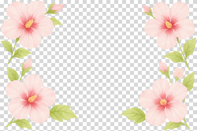 식물 꽃 컬러 컨셉 생태계 파일형식 테두리 장식 분홍색 잎 자연 뷰티풀 디자인 백그라운드 수채화 예술 우아함 꽃잎 편집이미지 PNG