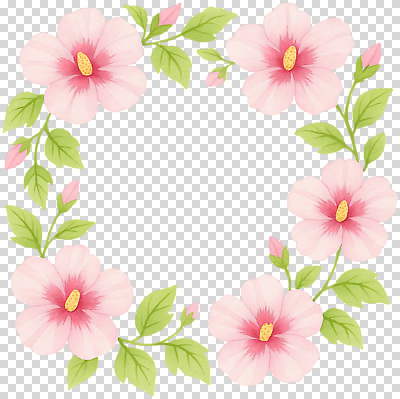 식물 컬러 컨셉 생태계 파일형식 꽃 장식 프레임 분홍색 잎 디자인 자연 미화 화사함 백그라운드 생동감 심플 예술 편집이미지 PNG