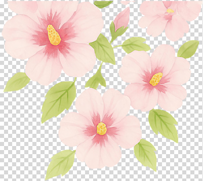 식물 계절 컬러 컨셉 감각 생태계 파일형식 분홍색 초록색 잎 색감 자연 뷰티풀 디자인 화사함 꽃 부드러움 여름 편집이미지 PNG