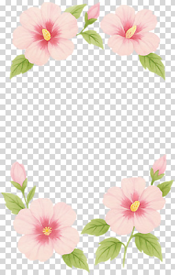 식물 꽃 컬러 생태계 파일형식 히비스커스 테두리 디자인 분홍색 장식 자연 잎 생동감 뷰티풀 그래픽 백그라운드 편집이미지 PNG