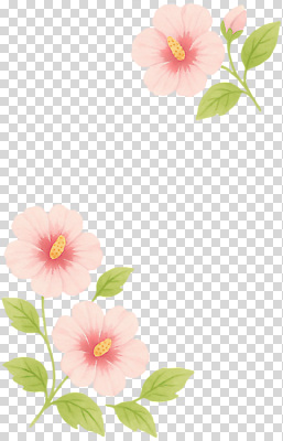 식물 계절 컬러 컨셉 초록색 생태계 파일형식 꽃 분홍색 잎 연두색 장식 백그라운드 자연 뷰티풀 디자인 생명 화사함 여름 봄 조화 편집이미지 PNG