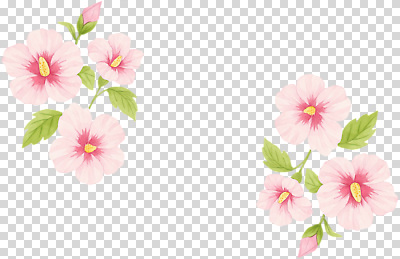식물 계절 꽃 컬러 컨셉 생태계 파일형식 분홍색 초록색 자연 디자인 백그라운드 보테니컬아트 뷰티풀 장식 잎 화사함 소프트 여름 꽃잎 편집이미지 PNG