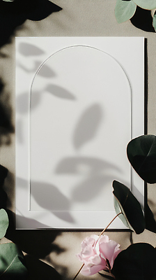 JPG 식물 편집이미지 디자인 화초 자연 조명 열대 실내 그림자 인테리어 공간 배열 유기농 편집실사 AI포토 AI콘텐츠 웰빙 내부 CG 생태계 파일형식