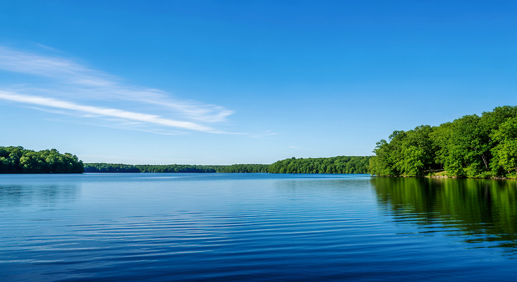 JPG 나무 편집이미지 호수 여유 물결 자연 휴식 풍경 물 여름 평화 산책 뷰티풀 푸른숲 편집실사 AI포토 AI콘텐츠 자연요소 식물 계절 감정 컨셉 숲 CG 생태계 파일형식