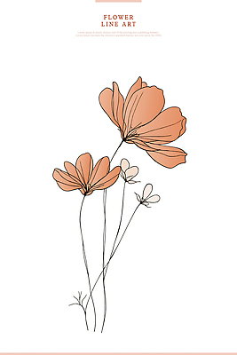 디자인 꽃 예술 선 컬러 일러스트 자연 장식 인테리어 표현 우아함 그림 심플 조화 뷰티풀 생동감 국내일러스트 AI파일 식물 컨셉 생태계 파일형식 벡터