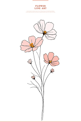 식물 디자인 꽃 예술 분홍색 꽃다발 일러스트 자연 유행 흰색 코스모스 그림 뷰티풀 창의성 국내일러스트 AI파일 컬러 생태계 파일형식 벡터