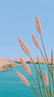 JPG 식물 모래 일러스트 자연 하늘 생명 바람 갈대 풍경 초록색 여름 평화 환경 고요 일몰 시세 수중식물 생태계 조경 국내일러스트 AI일러스트 AI콘텐츠 자연요소 계절 컬러 컨셉 날씨 금융 노을 파일형식