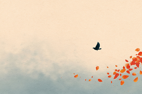 JPG 컬러 이동 낙엽 일러스트 자연 조류 하늘 생명 바람 나뭇잎 풍경 공중 평화 검은색 주황색 자유 가을 비행 고독 뷰티풀 풍경화 국내일러스트 AI일러스트 AI콘텐츠 자연요소 동물 계절 감정 컨셉 잎 날씨 그림 생태계 파일형식