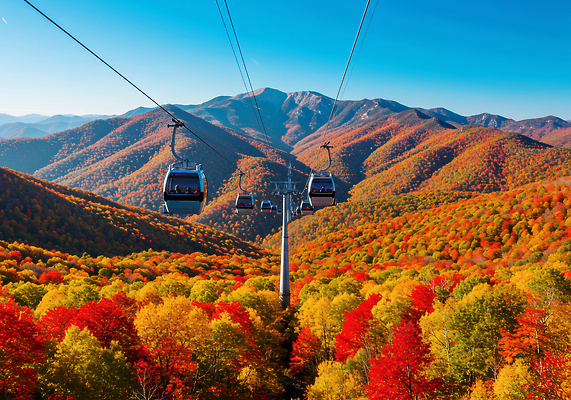 JPG 편집이미지 여행 단풍 자연 하늘 산 풍경 빨간색 초록색 노란색 가을 창밖 케이블카 탐방 편집실사 AI포토 AI콘텐츠 계절 컬러 잎 창문 CG 생태계 파일형식