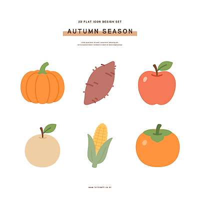 디자인 계절 채소 과일 일러스트 호박 옥수수 그래픽 세트 가을 사과 고구마 색감 스타일 국내일러스트 AI파일 곡류 뿌리채소 파일형식 벡터