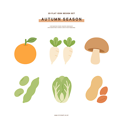 디자인 음식 채소 과일 일러스트 그래픽 버섯 가을 플랫 무 배추 땅콩 대두 국내일러스트 AI파일 계절 뿌리채소 견과류 파일형식 벡터