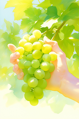 JPG 손 농업 과일 일러스트 손가락 자연 나뭇잎 건강 여름 햇빛 농장 수확 신선 맛 과수원 청포도 눈부심 색감 소득 인기 국내일러스트 AI일러스트 AI콘텐츠 계절 산업 컨셉 잎 포도 신체부위 태양 생태계 파일형식