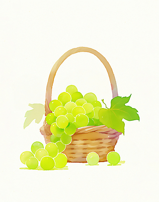JPG 식물 컬러 과일 일러스트 자연 포도 나뭇잎 디저트 건강 여름 햇빛 농장 바구니 정원 수확 신선 맛 유기농 과일바구니 국내일러스트 AI일러스트 AI콘텐츠 웰빙 계절 음식 컨셉 잎 농업 태양 생태계 파일형식