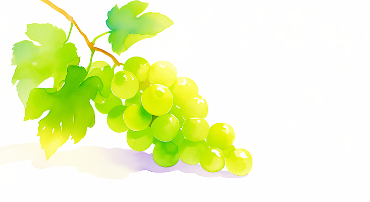 JPG 식물 열매 채소 과일 일러스트 자연 가지 건강 초록색 여름 농장 수확 신선 맛 그림 청포도 상큼 비타민 디지털아트 포도잼 국내일러스트 AI일러스트 AI콘텐츠 계절 컬러 컨셉 농업 포도 잼 생태계 영양소 파일형식