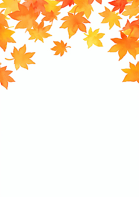 JPG 디자인 계절 컬러 백그라운드 단풍 낙엽 잎 일러스트 자연 따뜻함 풍경 장식 노란색 평화 주황색 가을 화려 그림 조화 뷰티풀 국내일러스트 AI일러스트 AI콘텐츠 식물 컨셉 생태계 파일형식