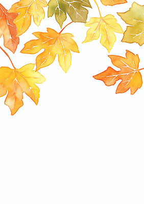 JPG 나무 디자인 계절 예술 컬러 백그라운드 단풍 잎 일러스트 자연 수채화 풍경 노란색 가을 변화 배열 뷰티풀 색채 국내일러스트 AI일러스트 AI콘텐츠 식물 컨셉 생태계 파일형식