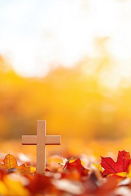 JPG 나무 편집이미지 종교 컬러 백그라운드 십자가 단풍 자연 따뜻함 풍경 햇빛 평화 가을 명상 조화 편집실사 AI포토 AI콘텐츠 식물 계절 컨셉 잎 태양 CG 생태계 파일형식