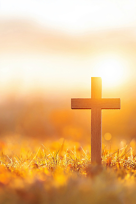 JPG 나무 편집이미지 전통 종교 상징 십자가 자연 초원 햇빛 평화 희망 고요 저녁 뷰티풀 편집실사 AI포토 AI콘텐츠 식물 감정 컨셉 태양 야간 CG 생태계 파일형식