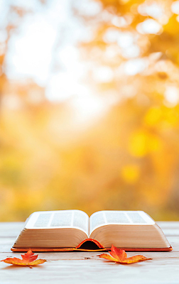 JPG 편집이미지 열매 컬러 단풍 자연 휴식 나뭇잎 책 독서 햇빛 평화 가을 분위기 편안함 순환 편집실사 AI포토 AI콘텐츠 식물 계절 컨셉 잎 모션 태양 감각 CG 생태계 파일형식