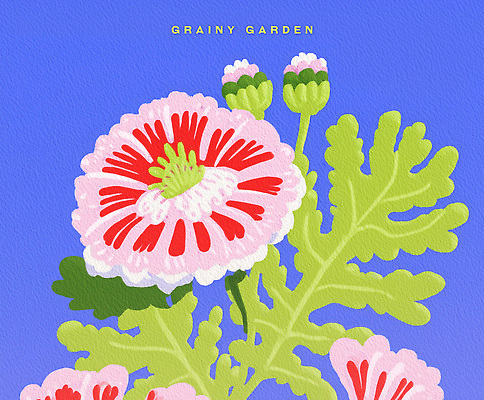 PSD 식물 꽃 화초 분홍색 컬러 잎 꽃밭 일러스트 자연 생명 풍경 여름 정원 신선 즐거움 꽃봉오리 원예 조화 뷰티풀 국내일러스트 계절 감정 취미 생태계 파일형식