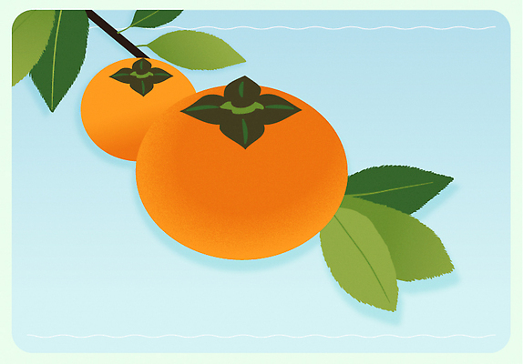 나무 열매 백그라운드 잎 농업 과일 일러스트 자연 생명 아침 귤 건강 농작물 농장 주황색 수확 성장 신선 과일나무 상큼 국내일러스트 AI파일 주간 식물 산업 컬러 생태계 파일형식 벡터