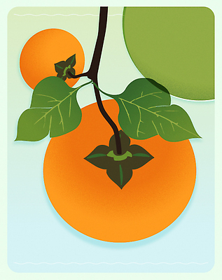 나무 식물 열매 컬러 잎 농업 과일 일러스트 가족 자연 생명 여름 농작물 농장 금색 성장 과수원 커뮤니티 색감 국내일러스트 AI파일 계절 산업 관계 생태계 파일형식 벡터