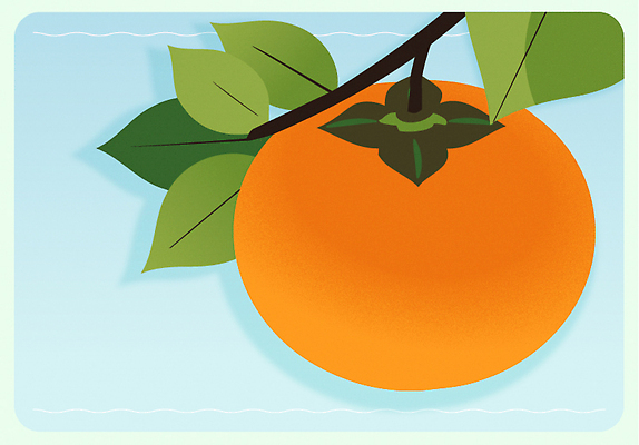 나무 컬러 잎 농업 과일 일러스트 자연 생명 가지 건강 밝음 일본 수확 성장 신선 맛 과일나무 유기농 원예 국내일러스트 AI파일 식물 웰빙 산업 아시아 컨셉 채소 취미 생태계 파일형식 벡터