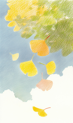 JPG 그릇 계절 백그라운드 일러스트 자연 하늘 나뭇잎 풍경 햇빛 노란색 평화 가을 우아함 떨어짐 은행잎 부드러움 감성 위로 뷰티풀 색감 국내일러스트 AI일러스트 AI콘텐츠 식기 컬러 컨셉 잎 태양 감각 생태계 파일형식