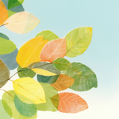 JPG 나무 식물 계절 컬러 일러스트 자연 하늘 생명 나뭇잎 밝음 풍경 빨간색 초록색 노란색 환경 주황색 가을 신선 변화 뷰티풀 풍요 국내일러스트 AI일러스트 AI콘텐츠 컨셉 잎 생태계 파일형식