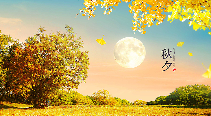 PSD 나무 편집이미지 잎 자연 하늘 나뭇잎 밝음 풍경 평화 보름달 가을 분위기 저녁 풍요 이미지편집 식물 계절 컨셉 달 야간 생태계 파일형식