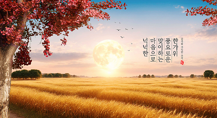 PSD 나무 편집이미지 자연 하늘 풍경 농작물 노을 맑음 축제 고요 수확 달 가을 농촌 포근함 뷰티풀 이미지편집 자연요소 식물 계절 농업 날씨 시골 감각 생태계 파일형식